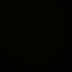 Meet your Posher, Delaina